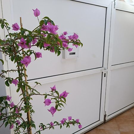 Apartman Dani ザダル エクステリア 写真